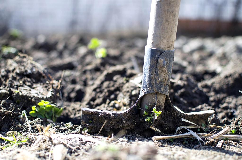 AI-powered smart cropping algorithm visualizing optimal crop suggestions