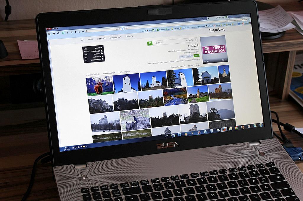Image cropping grid preview with highlight on subject